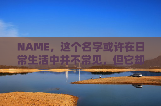 NAME，这个名字或许在日常生活中并不常见，但它却在某些领域里扮演着重要的角色。今天，让我们一起来探索这个名字背后的故事和意义